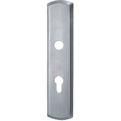 Stainless Steel Handle Plate